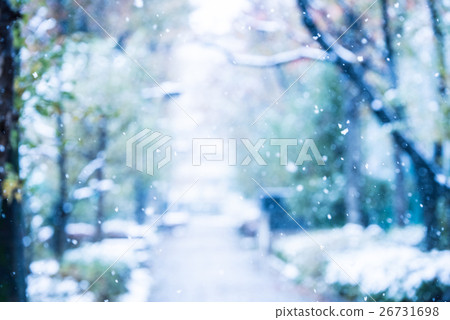 Autumn Snow fall fall. Autumn Snow fall fall. 26731698