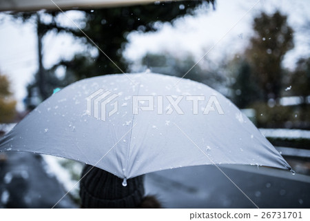 snow          26731701