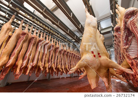 Chopped pig at a factory Chopped pig at a factory 26732174