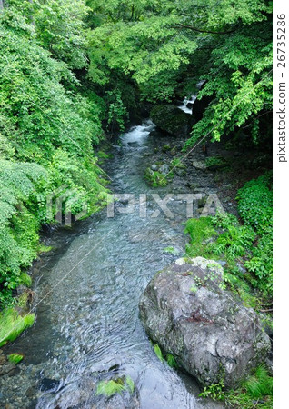 Kawaya valley 26735286