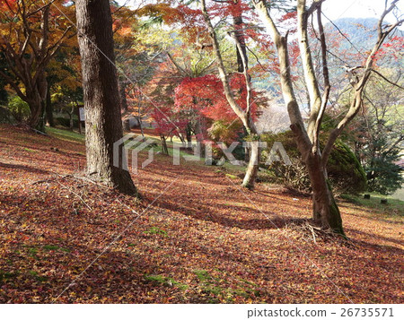 Utamidado Pond(拉姆薩爾公約登記池) Utamidado Pond(拉姆薩爾公約登記池) 26735571