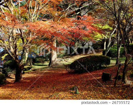 Utamidado Pond(拉姆薩爾公約登記池) Utamidado Pond(拉姆薩爾公約登記池) 26735572