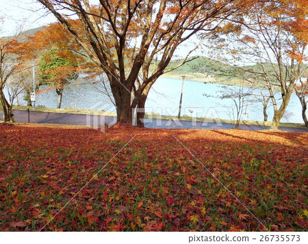 Utamidado Pond(拉姆薩爾公約登記池) Utamidado Pond(拉姆薩爾公約登記池) 26735573