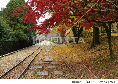 傾斜秋葉 26735704