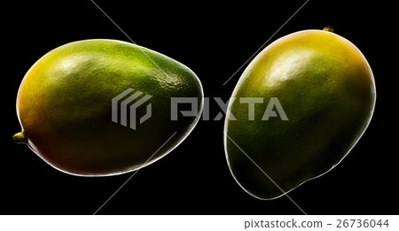 Fresh mango fruit isolated on black 26736044