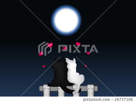 Couple of cats in love under the moonlight Couple of cats in love under the moonlight 26737106