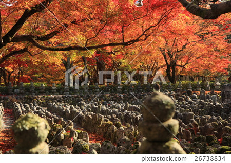 在深秋的納寧佛教寺院 26738834
