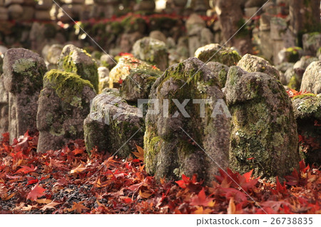 In the late autumn Nanin Buddhist Temple 26738835
