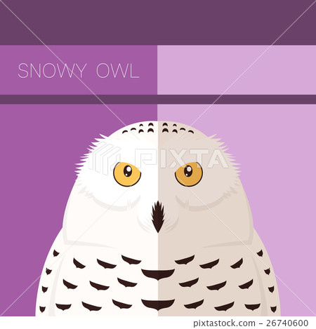 Snowy Owl flat postcard 26740600