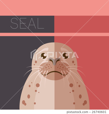 Seal  flat postcard 26740601