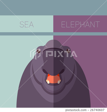 Sea elephant flat postcard 26740607