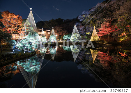 New Edogawa park autumn leaves light up "Hikari Akari" New Edogawa park autumn leaves light up "Hikari Akari" 26740817