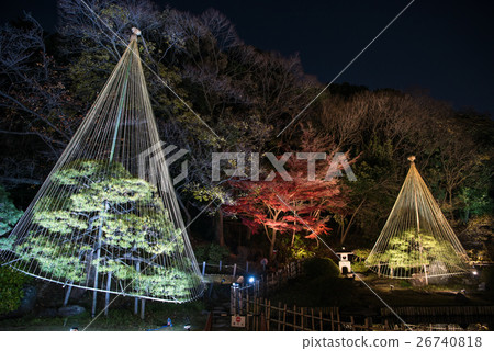 New Edogawa park autumn leaves light up "Hikari Akari" New Edogawa park autumn leaves light up "Hikari Akari" 26740818