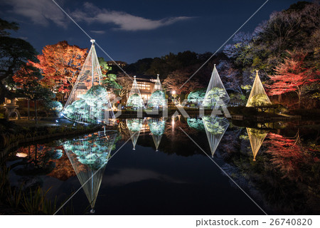 New Edogawa park autumn leaves light up "Hikari Akari" 26740820