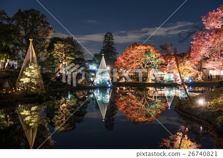 New Edogawa park autumn leaves light up "Hikari Akari" New Edogawa park autumn leaves light up "Hikari Akari" 26740821