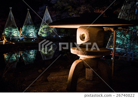 New Edogawa park autumn leaves light up "Hikari Akari" New Edogawa park autumn leaves light up "Hikari Akari" 26740822