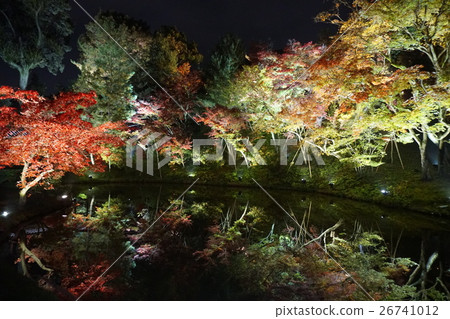 Konoi Kodaiji在晚上 26741012