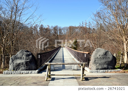 高山公園森林樹蔭 26741021