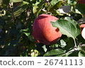 Delicious apple 26741113