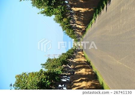 Momentsu is Saki Namiki (Niigata Prefecture) 26741130