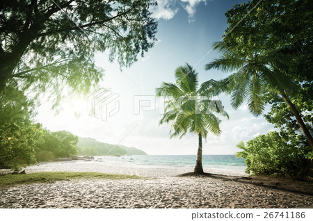Anse Lazio beach, Praslin island, Seychelles Anse Lazio beach, Praslin island, Seychelles 26741186