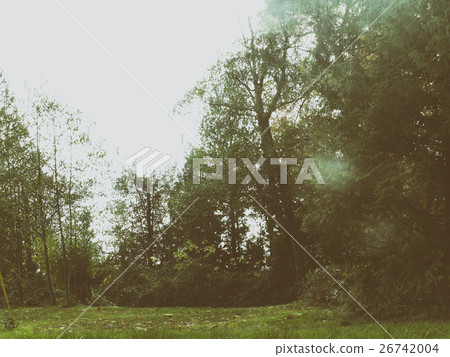 Piece Buttercream cake over white background 26742004