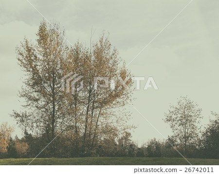 Sunny and warm autumn day in the Langley, canada, 26742011