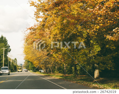 Sunny and warm autumn day in the Langley, canada, Sunny and warm autumn day in the Langley, canada, 26742019