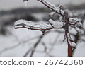 Branch of plant in the ice. Snowy winter landscape 26742360