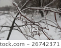 Branch of plant in the ice. Snowy winter landscape 26742371