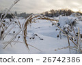 Branch of plant in the ice. Snowy winter landscape 26742386