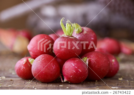 small european radishes small european radishes 26743422