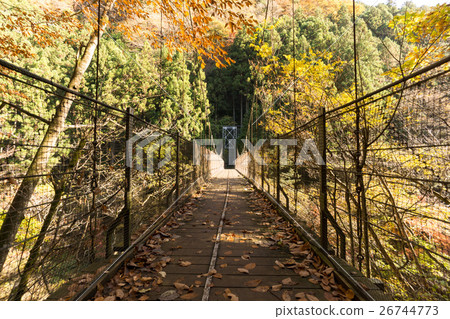 Autumn leaves of Okutama Shida-kura Bridge 26744773