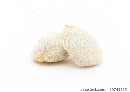 Cucumber seeds: Nuez de la India Cucumber seeds: Nuez de la India 26745515