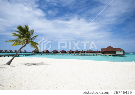 Maldives beach palm tree cottage 26746439