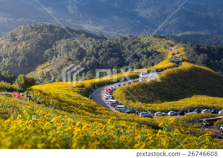 Doi Mae Ou Kor Doi Mae Ou Kor 26746608