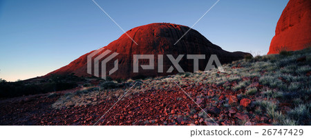 Red rock of Alice Spring, Yulara, Mutitjulu 26747429