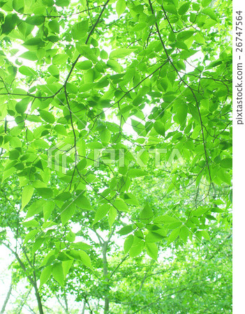 Spatial / sunny spot / background 26747564