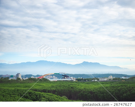 mangrove forest 26747627