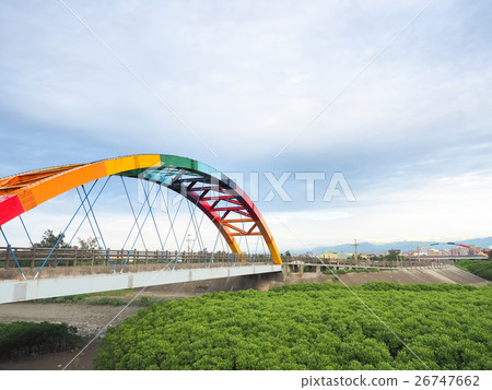 mangrove forest 26747662