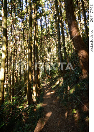 Mountain road 26747748