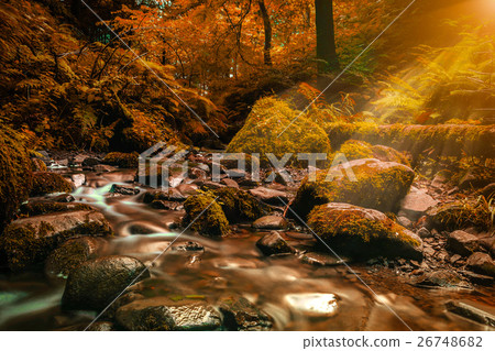 Waterfall in autumn. Forest stream running Waterfall in autumn. Forest stream running 26748682