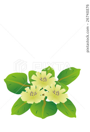 春天七草藥佛的種子 春天七草藥佛的種子 26748876