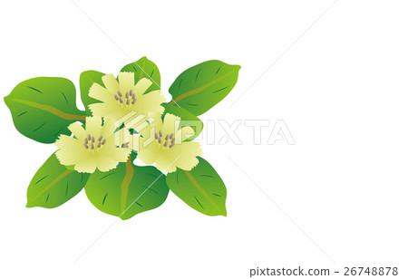 春天七草藥佛的種子 春天七草藥佛的種子 26748878