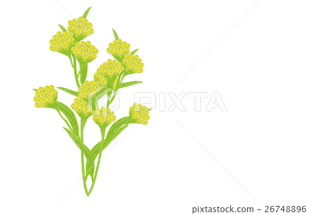 春季七種草藥形式 26748896