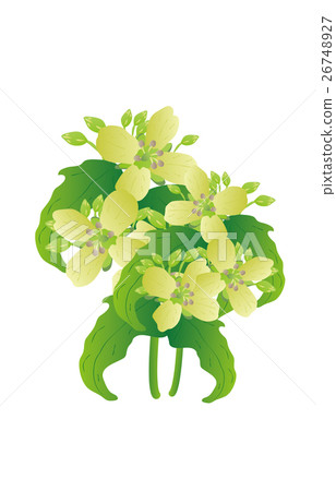 春天七草藥 26748927