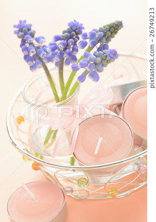 穆斯卡里和茶蠟燭 穆斯卡里和茶蠟燭 26749213