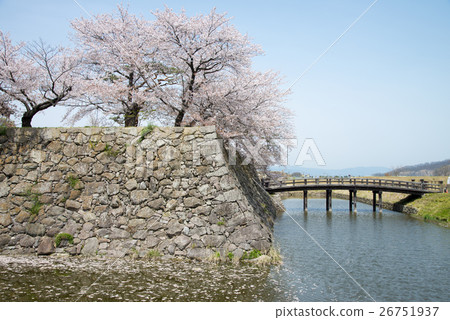 Kaizu城堡遺址公園 26751937