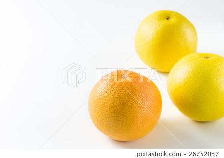 grapefruit grapefruit 26752037