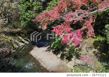 Autumn leaves and river surface seen from the bridge 26753121